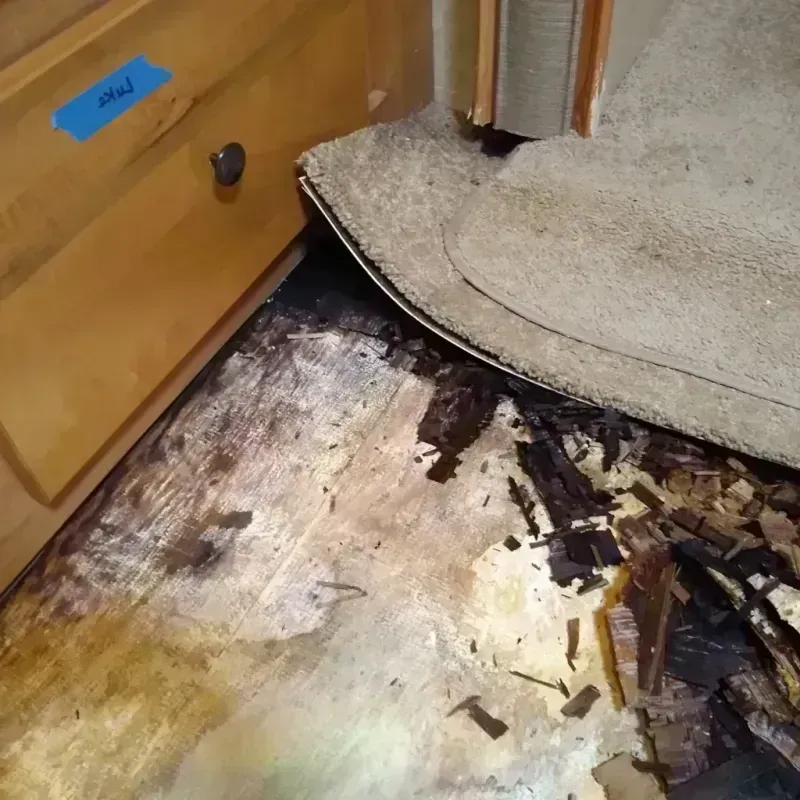 Wood Floor Water Damage in McMullen County, TX